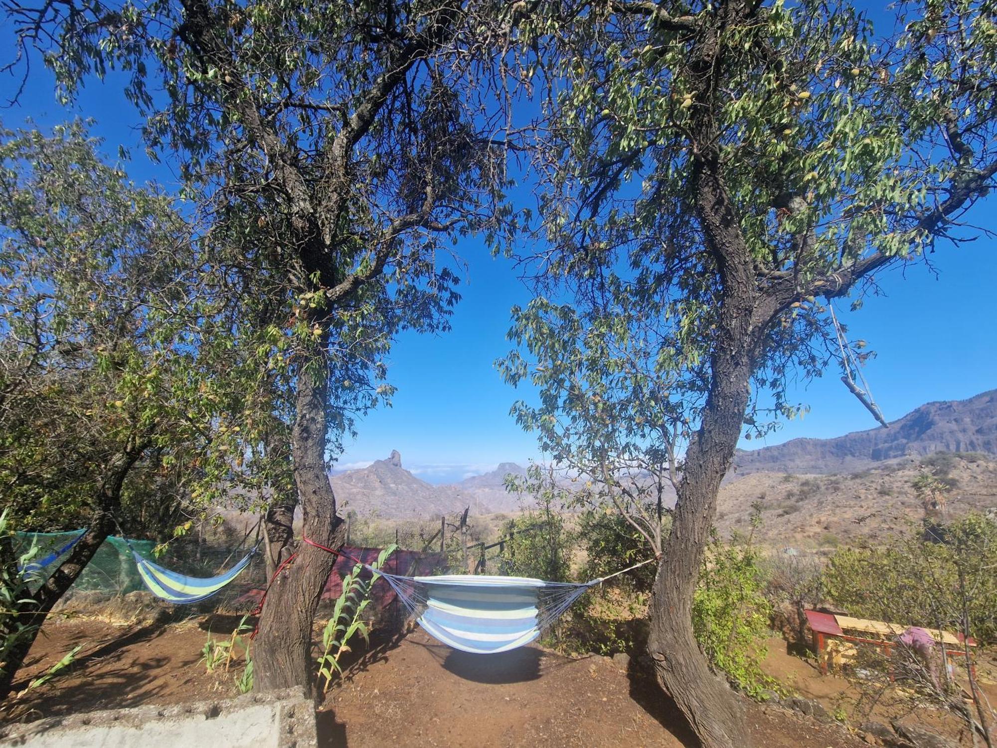 Finca La Isa By Rose Casas Rural Крус-де-Техеда Экстерьер фото