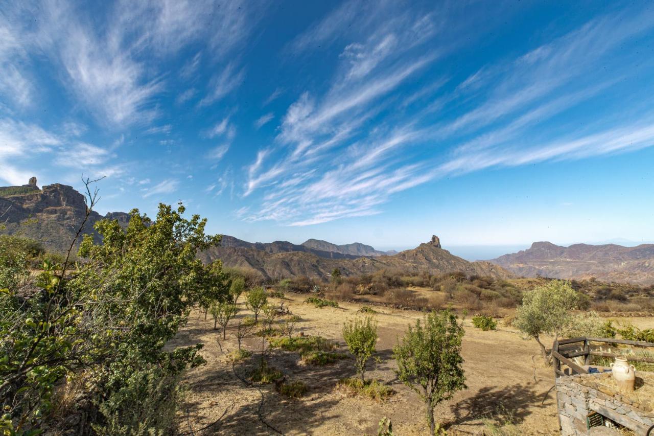 Finca La Isa By Rose Casas Rural Крус-де-Техеда Экстерьер фото